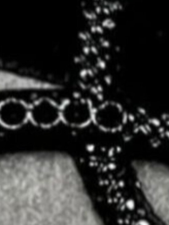Jewelry - Snake in the grass choker by Courtney Paige Nelson